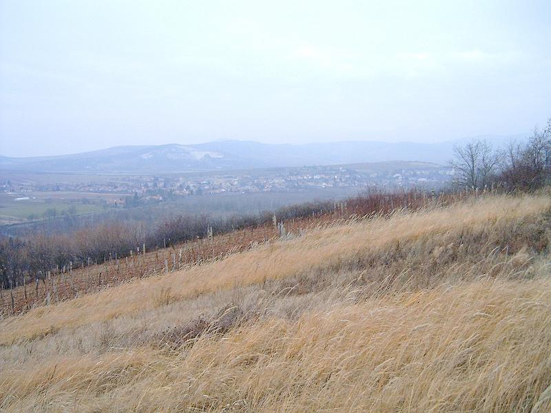 20111210 045.jpg